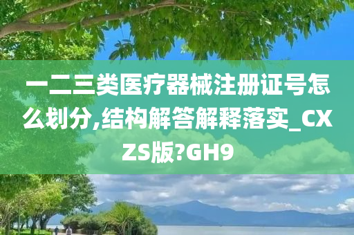 一二三类医疗器械注册证号怎么划分,结构解答解释落实_CXZS版?GH9