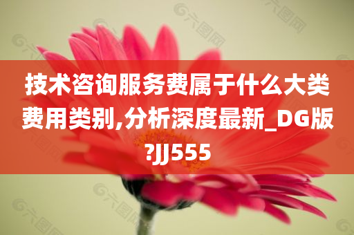 技术咨询服务费属于什么大类费用类别,分析深度最新_DG版?JJ555