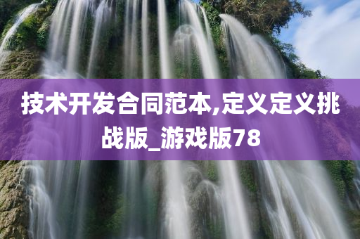 技术开发合同范本,定义定义挑战版_游戏版78