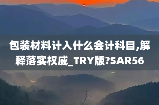 包装材料计入什么会计科目,解释落实权威_TRY版?SAR56