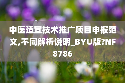 中医适宜技术推广项目申报范文,不同解析说明_BYU版?NF8786