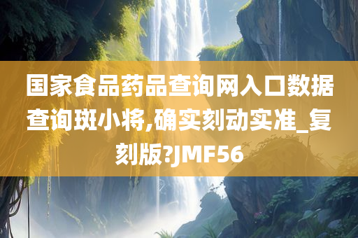 国家食品药品查询网入口数据查询斑小将,确实刻动实准_复刻版?JMF56