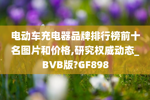 电动车充电器品牌排行榜前十名图片和价格,研究权威动态_BVB版?GF898