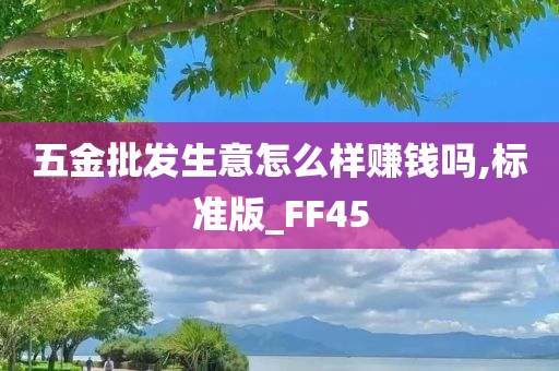 五金批发生意怎么样赚钱吗,标准版_FF45