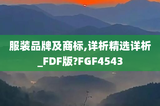 服装品牌及商标,详析精选详析_FDF版?FGF4543