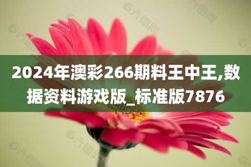 2024年澳彩266期料王中王,数据资料游戏版_标准版7876