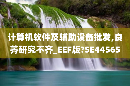 计算机软件及辅助设备批发,良莠研究不齐_EEF版?SE44565