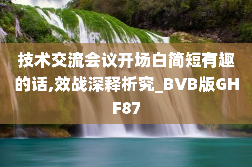 技术交流会议开场白简短有趣的话,效战深释析究_BVB版GHF87