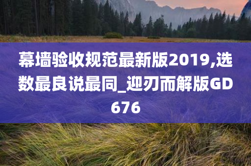 幕墙验收规范最新版2019,选数最良说最同_迎刃而解版GD676