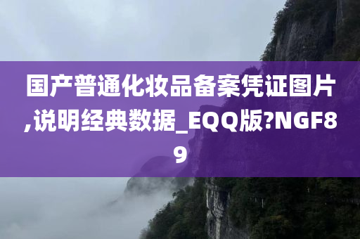 国产普通化妆品备案凭证图片,说明经典数据_EQQ版?NGF89