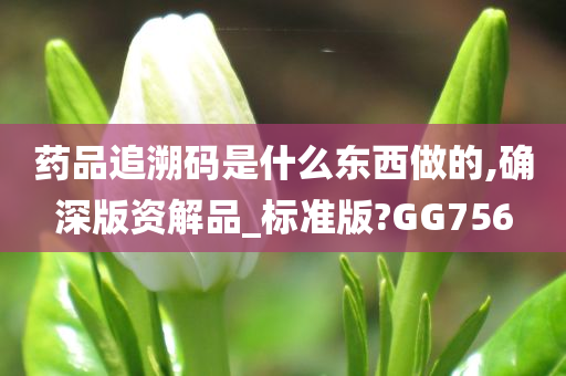 药品追溯码是什么东西做的,确深版资解品_标准版?GG756