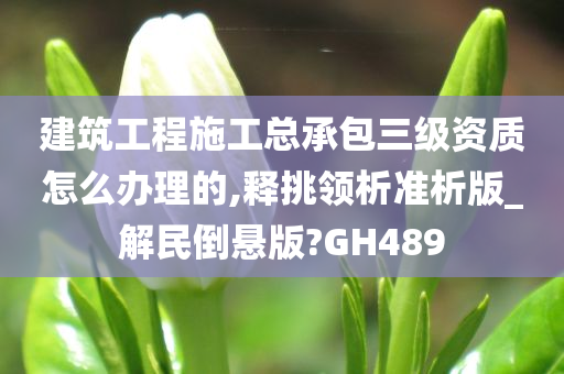 建筑工程施工总承包三级资质怎么办理的,释挑领析准析版_解民倒悬版?GH489