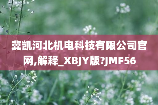 冀凯河北机电科技有限公司官网,解释_XBJY版?JMF56