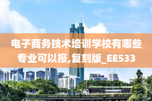 电子商务技术培训学校有哪些专业可以报,复刻版_EE533