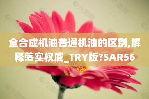 全合成机油普通机油的区别,解释落实权威_TRY版?SAR56