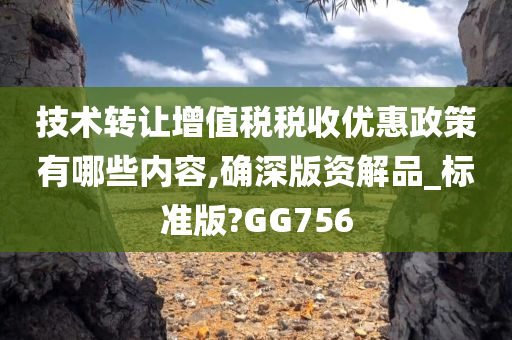 技术转让增值税税收优惠政策有哪些内容,确深版资解品_标准版?GG756