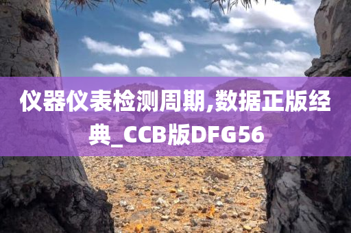 仪器仪表检测周期,数据正版经典_CCB版DFG56