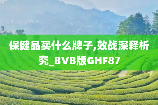 保健品买什么牌子,效战深释析究_BVB版GHF87