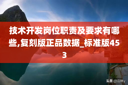 技术开发岗位职责及要求有哪些,复刻版正品数据_标准版453