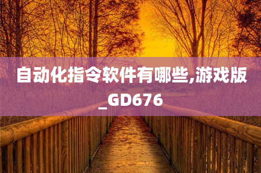 自动化指令软件有哪些,游戏版_GD676