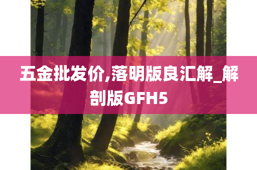 五金批发价,落明版良汇解_解剖版GFH5