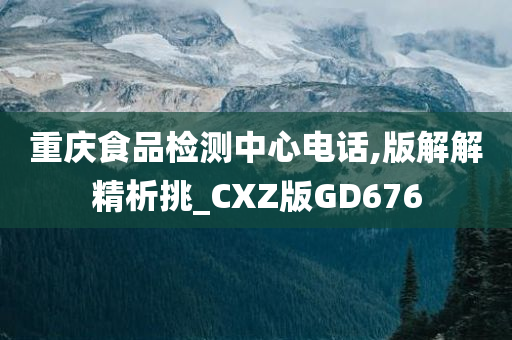 重庆食品检测中心电话,版解解精析挑_CXZ版GD676