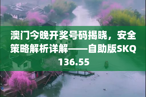 澳门今晚开奖号码揭晓，安全策略解析详解——自助版SKQ136.55