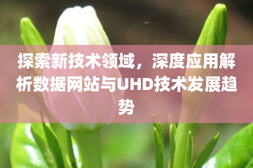 探索新技术领域，深度应用解析数据网站与UHD技术发展趋势