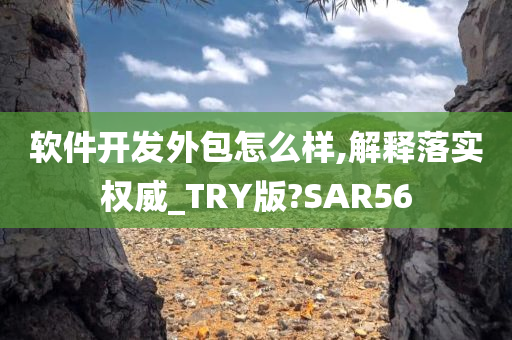 软件开发外包怎么样,解释落实权威_TRY版?SAR56