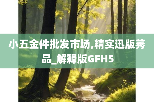 小五金件批发市场,精实迅版莠品_解释版GFH5