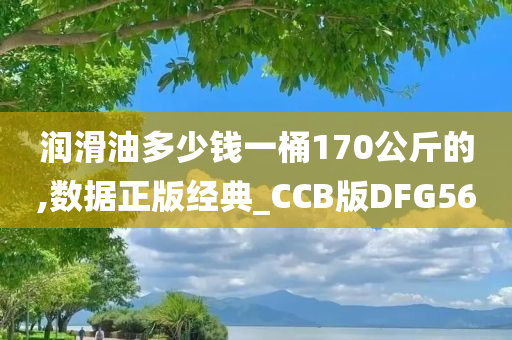 润滑油多少钱一桶170公斤的,数据正版经典_CCB版DFG56