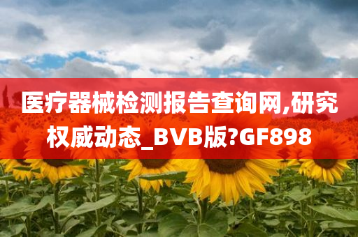 医疗器械检测报告查询网,研究权威动态_BVB版?GF898