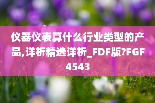 仪器仪表算什么行业类型的产品,详析精选详析_FDF版?FGF4543