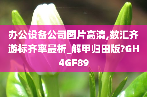 办公设备公司图片高清,数汇齐游标齐率最析_解甲归田版?GH4GF89