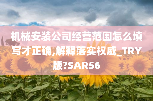 机械安装公司经营范围怎么填写才正确,解释落实权威_TRY版?SAR56