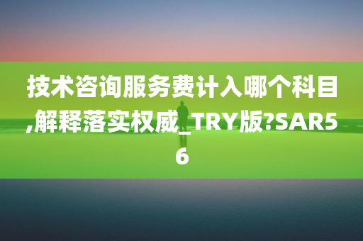 技术咨询服务费计入哪个科目,解释落实权威_TRY版?SAR56