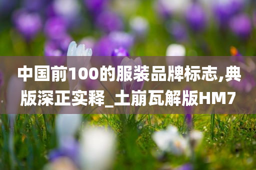 中国前100的服装品牌标志,典版深正实释_土崩瓦解版HM7