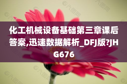 化工机械设备基础第三章课后答案,迅速数据解析_DFJ版?JHG676