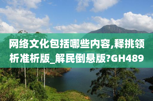 网络文化包括哪些内容,释挑领析准析版_解民倒悬版?GH489