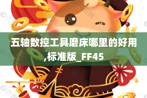 五轴数控工具磨床哪里的好用,标准版_FF45