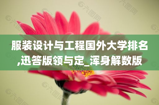 服装设计与工程国外大学排名,迅答版领与定_浑身解数版