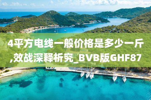 4平方电线一般价格是多少一斤,效战深释析究_BVB版GHF87