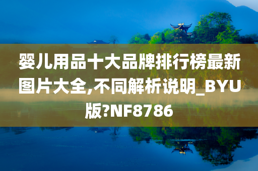 婴儿用品十大品牌排行榜最新图片大全,不同解析说明_BYU版?NF8786