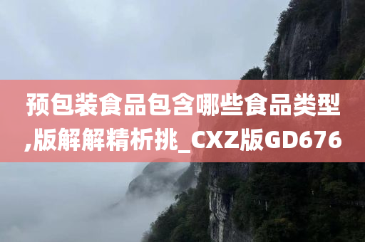 预包装食品包含哪些食品类型,版解解精析挑_CXZ版GD676