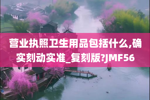 营业执照卫生用品包括什么,确实刻动实准_复刻版?JMF56