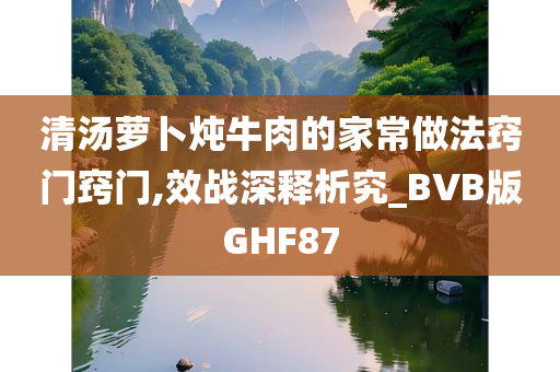 清汤萝卜炖牛肉的家常做法窍门窍门,效战深释析究_BVB版GHF87