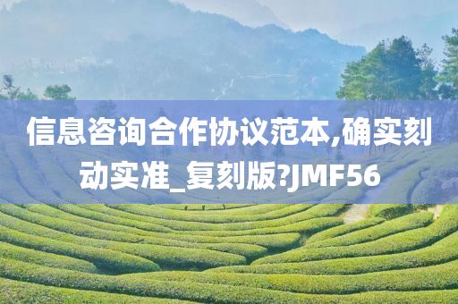 信息咨询合作协议范本,确实刻动实准_复刻版?JMF56