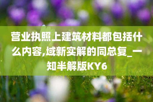 营业执照上建筑材料都包括什么内容,域新实解的同总复_一知半解版KY6