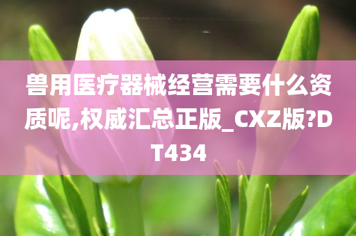 兽用医疗器械经营需要什么资质呢,权威汇总正版_CXZ版?DT434