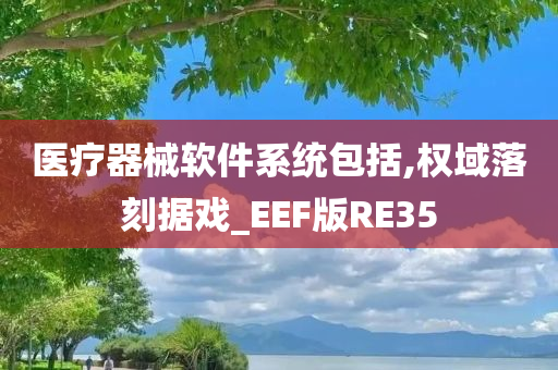 医疗器械软件系统包括,权域落刻据戏_EEF版RE35